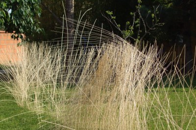 Agrandir l'image 2 sur 3, fenêtre modale