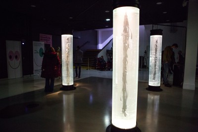 Nage libre NB2021 - Agrandir l'image 3 sur 3, fenêtre modale