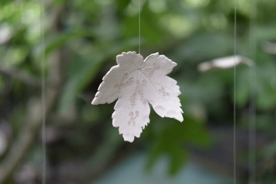 Agrandir l'image 2 sur 3, fenêtre modale