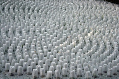 Agrandir l'image 2 sur 3, fenêtre modale