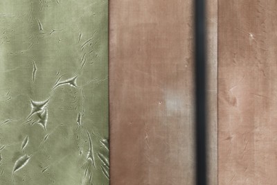 Image œuvre Cortez - Agrandir l'image 1 sur 3, fenêtre modale