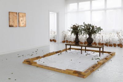 Agrandir l'image 1 sur 3, fenêtre modale