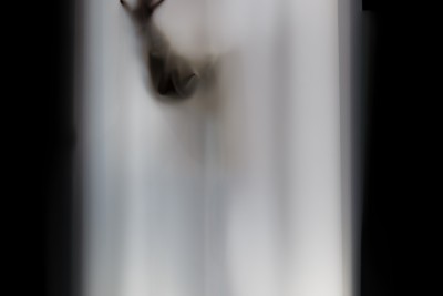 Image œuvre Audrey Perzo n°3 - Agrandir l'image 3 sur 3, fenêtre modale