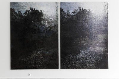 Œuvre expo Eva Nielsen - Agrandir l'image 1 sur 3, fenêtre modale