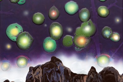 Œuvre la hiérarchie des genres 1 - Agrandir l'image 2 sur 3, fenêtre modale