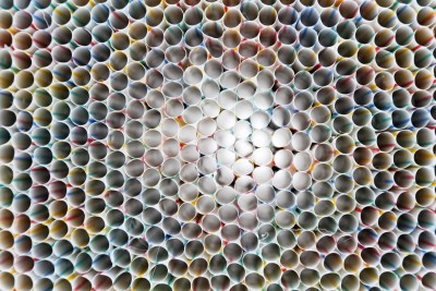 Œuvre L'objet de la peinture 2 - Agrandir l'image 2 sur 3, fenêtre modale