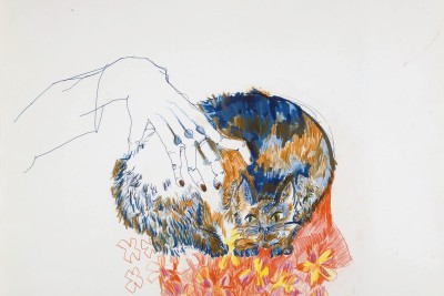 Agrandir l'image 3 sur 3, fenêtre modale